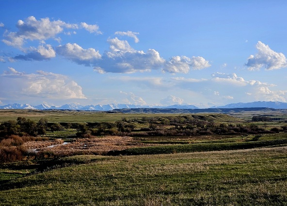  Along the Musselshell River