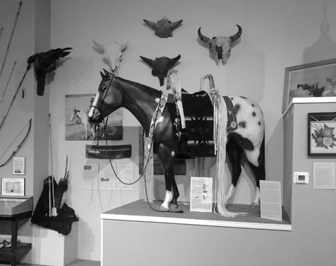 Harlan Lucas Native American Collection