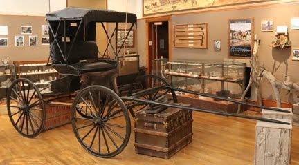 1900s Buggy and Traveling Coat