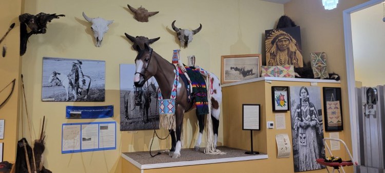 Harlan Lucas Native American Collection